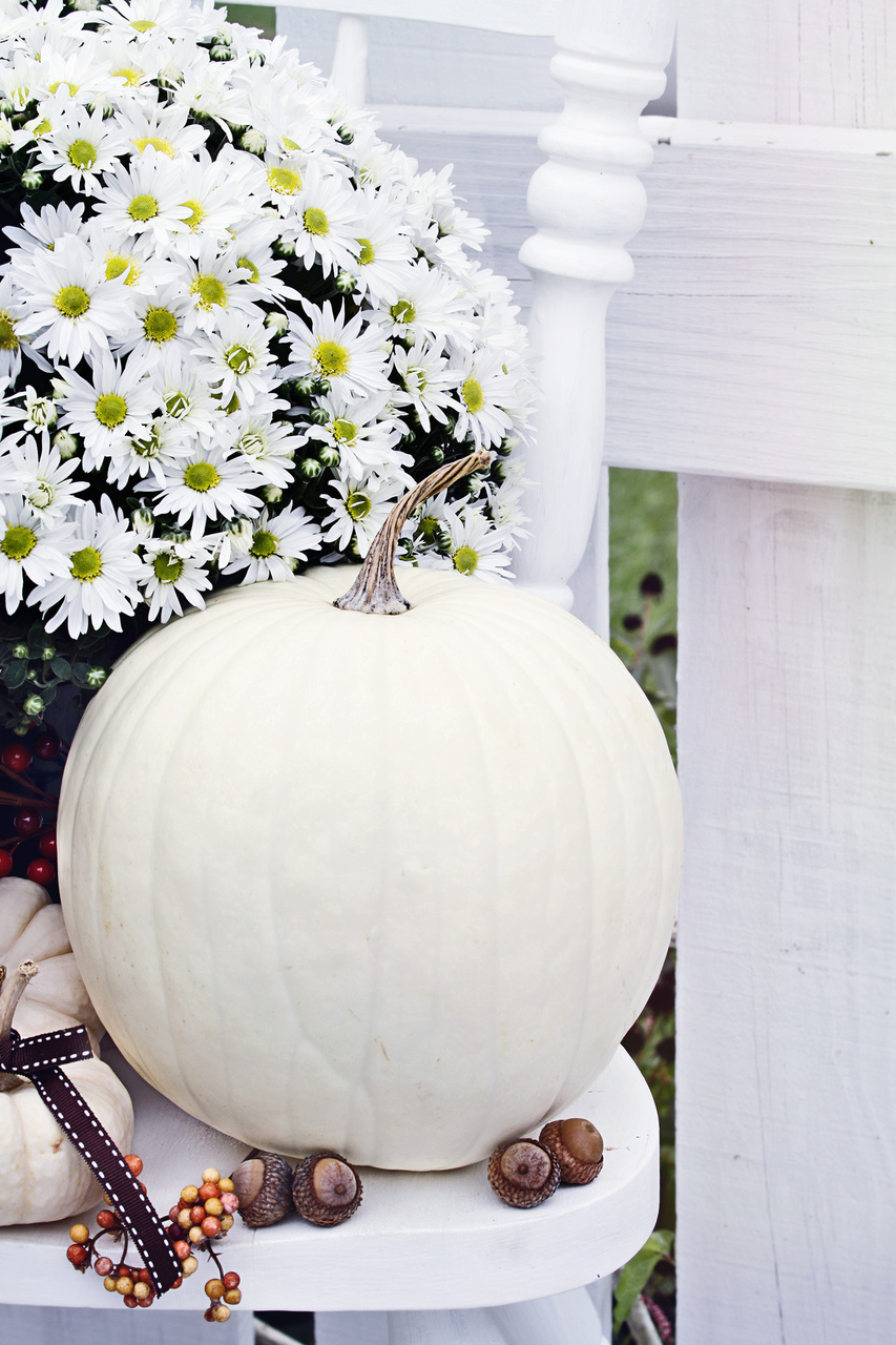 Easy Ways to Decorate for Halloween